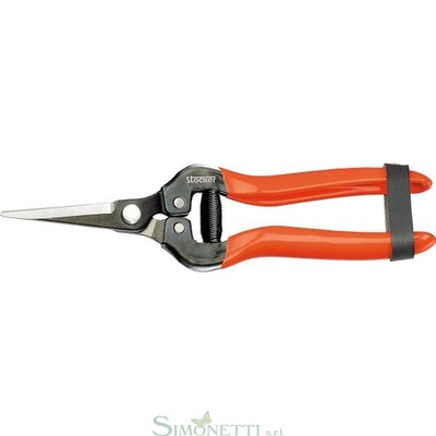 STK345 - FORBICE SPECIALE VENDEMMIA 19