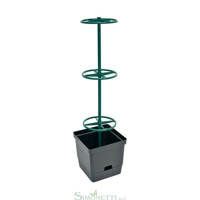 ORTOVASO per rampicanti