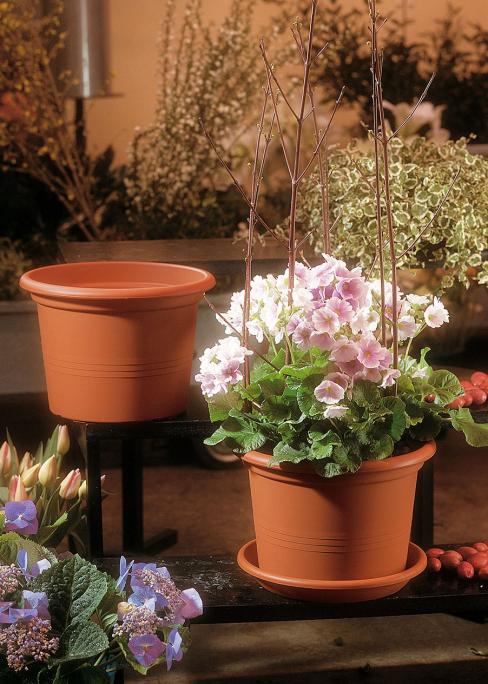 VASO CILINDRO CM. 20 TERRACOTTA