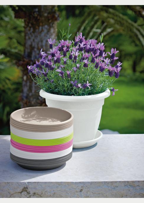 S/VASO MEDEA CM. 20 MANGO
