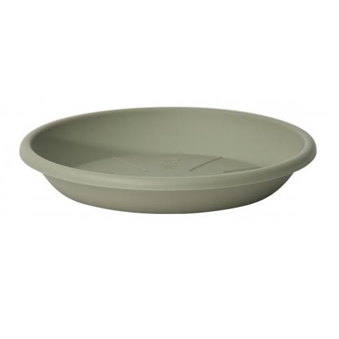 S/VASO MEDEA CM. 24 ROSMARINO