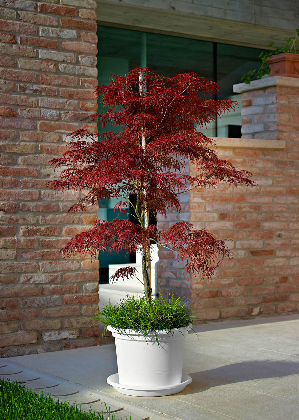 VASO GEO CM.35 BIANCO