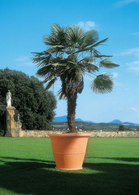 VASO TEMPIUM CM.102 T.SIENA