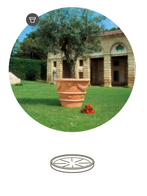 S/VASO ANGELI CM.147 T.SIENA