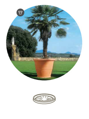 S/VASO TEMPIUM CM.102 T.SIENA