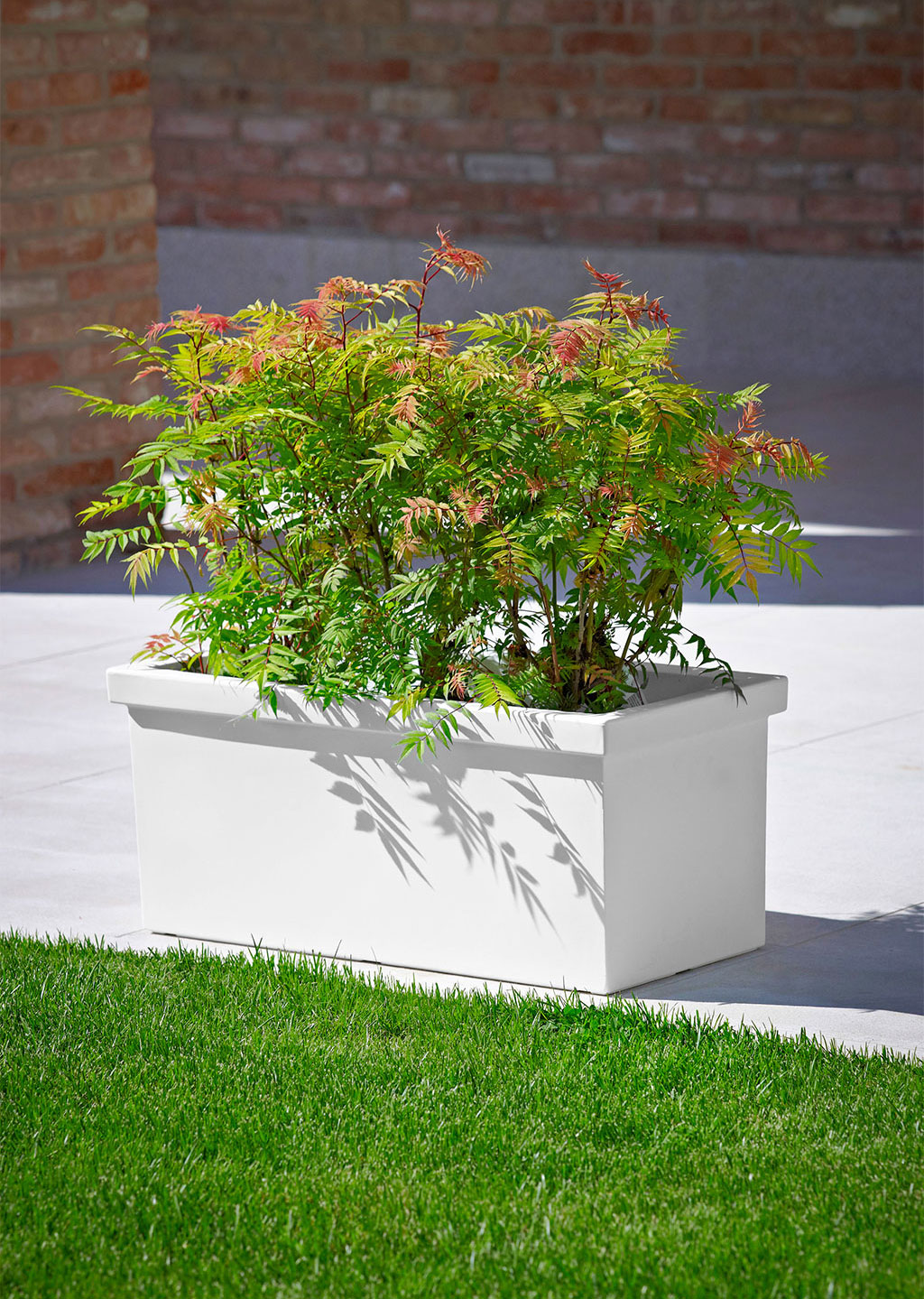 CASSETTA SIEPI CM.80 BIANCO C2