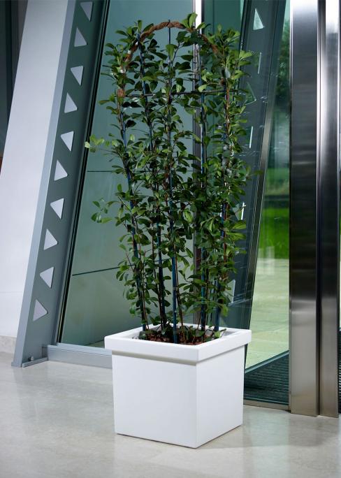 VASO SIEPI QUADRO CM.39 BIANCO C2