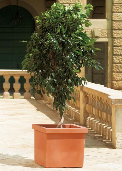 VASO SIEPI A MURO CM.52 T.SIENA