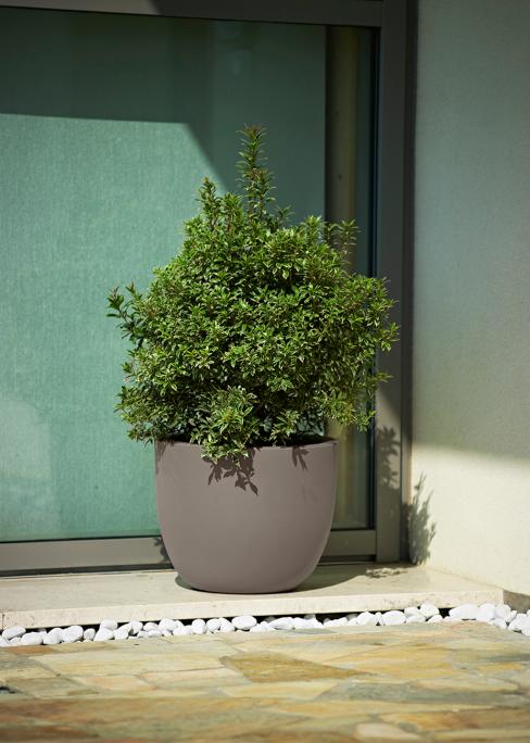 VASO ETRIA CM.34 C/DOPPIA PARETE TORTORA