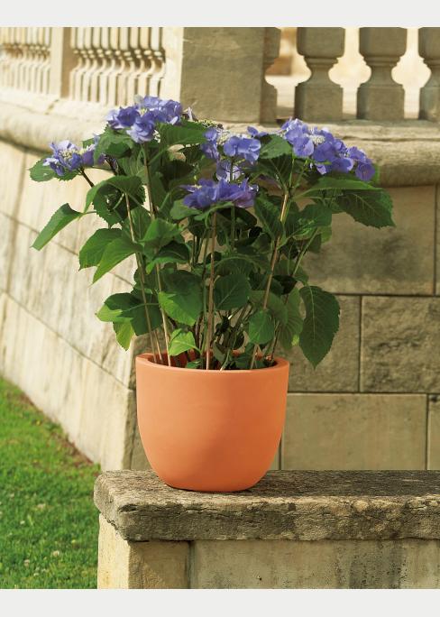 VASO ETRIA CM.54 C/DOPPIA PARETE T.SIENA