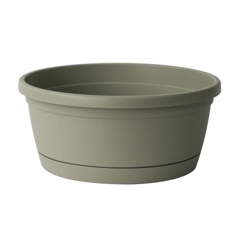 CIOTOLA LIBIS CM.30 CON S/VASO ROSMARINO