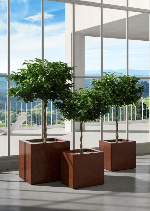 VASO KUBE GLOSS CM.50 RUGGINE