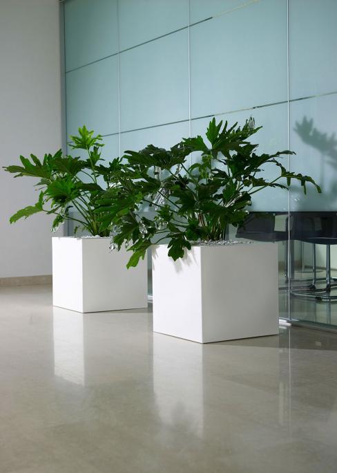 VASO KUBE CM.30 CON RUOTE BIANCO C2