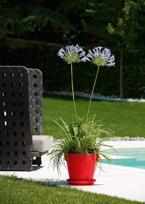 VASO MITU PAC CM.60 CON FORI ROS.SMALTO