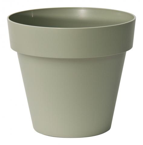 VASO MITU PAC CM.18 CON FORI ROSMARINO