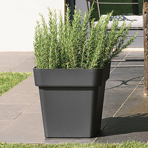 VASO MITU PAC QUADRO CM.40 CON FORI ANTR