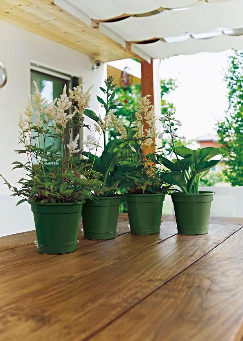 VASO GARDEN CM. 12 VERDE