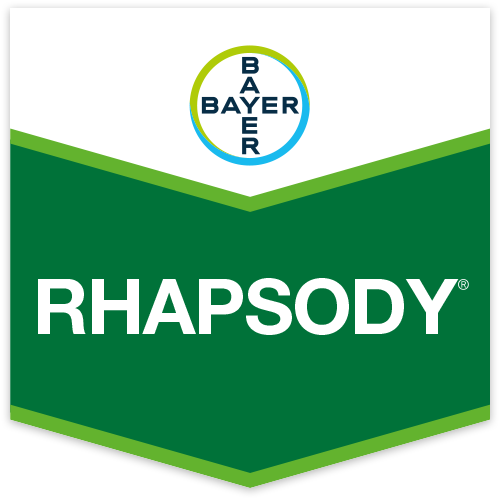 BAYRH600500 - RHAPSODY x 5 lt.