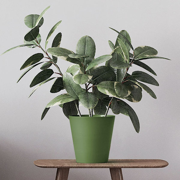COPRIVASO CLIVO GREENER CM.16 OLIVA D2