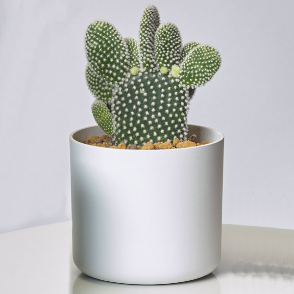 COPRIVASO ONO GREENER CM.11 BIANCO