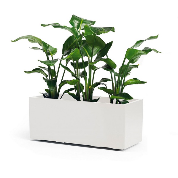 CASSETTA KEBE GREENER CM.100+RIS+RUOTE B
