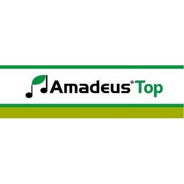 SYNAM300005 - AMADEUS TOP x 50 gr.