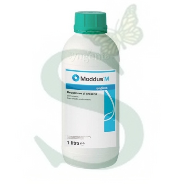 MODDUS x 1 lt.