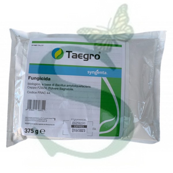 TAEGRO x 370 gr. -BIO-