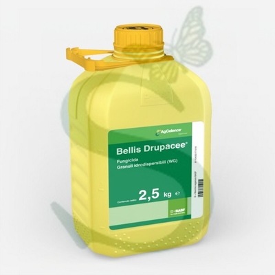BELLIS DRUPACEE x 2,5 kg.