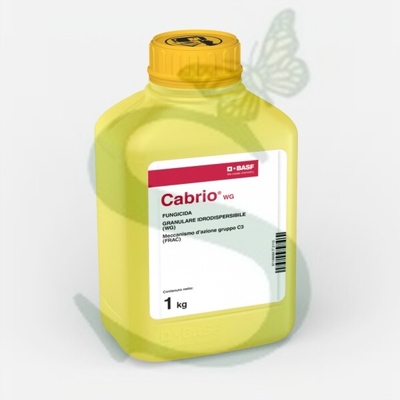 CABRIO WG x 1 kg.
