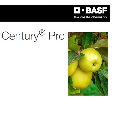 CENTURY PRO x 10 lt.