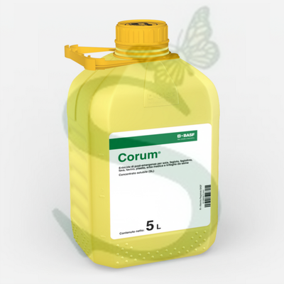CORUM x 5 lt.
