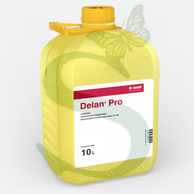 DELAN PRO x 10 lt.