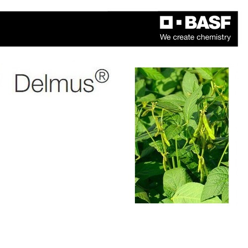 DELMUS x 1 lt.