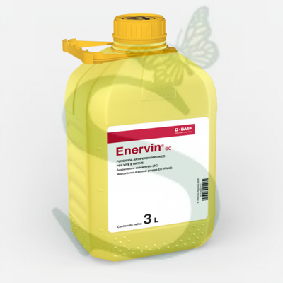 ENERVIN SC x 3 lt.