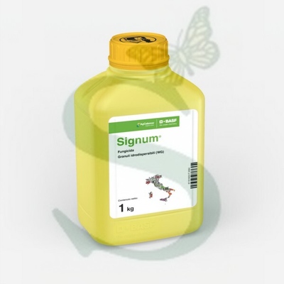 SIGNUM x 1 kg.