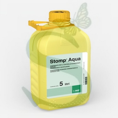 STOMP AQUA x 5 lt.