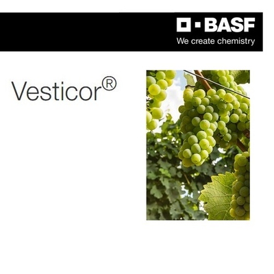 VESTICOR x 300 ml.