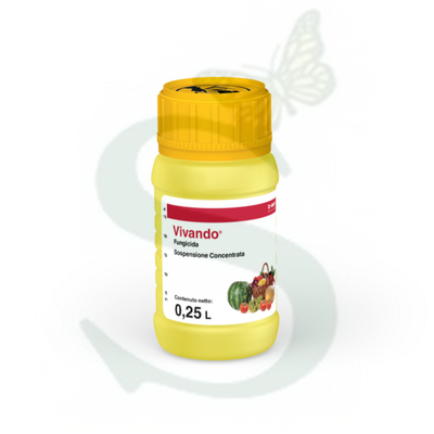 VIVANDO x 250 ml.