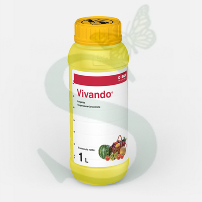 BASVI700100 - VIVANDO x 1 lt.