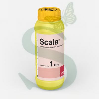 SCALA x 1 lt.