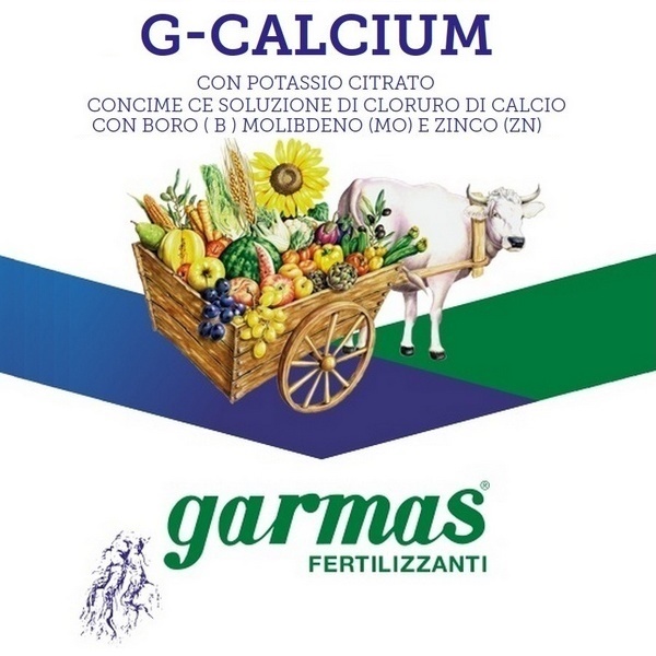 G-CALCIUM 20% x 5 kg.