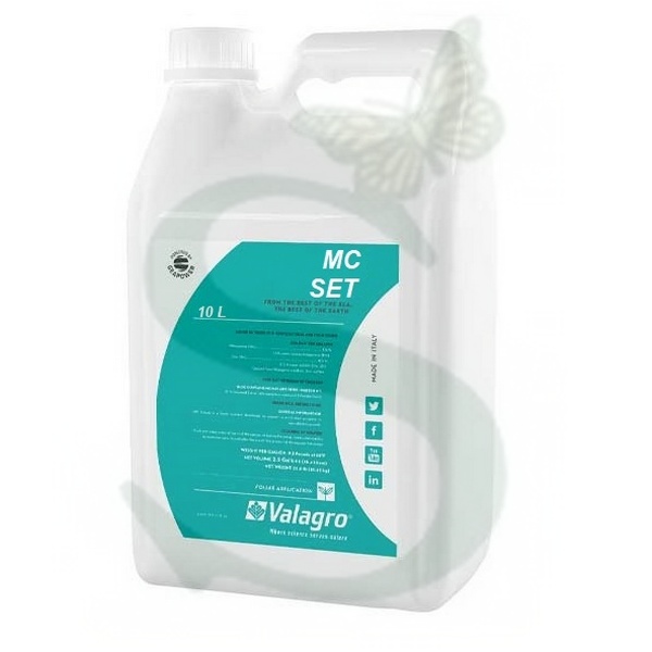 MC SET x 10 lt.