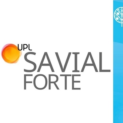 SAVIAL FORTE x 5 lt.