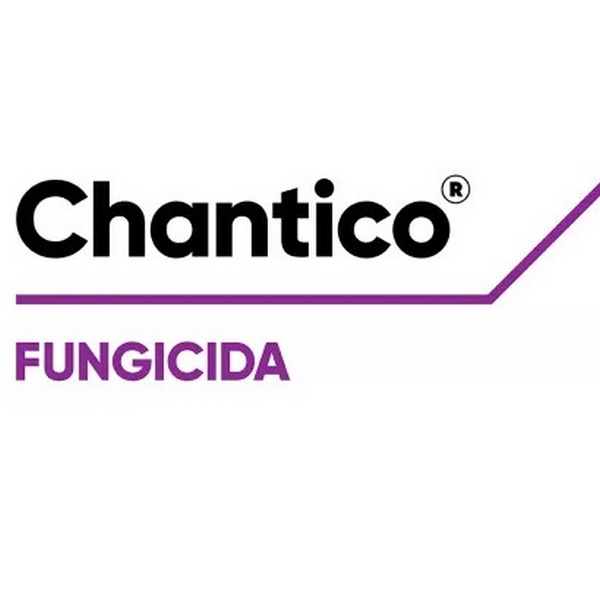 CHANTICO x 2 lt.