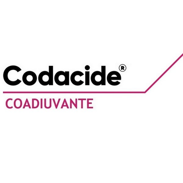 CORCO201000 - CODACIDE x 10 lt.
