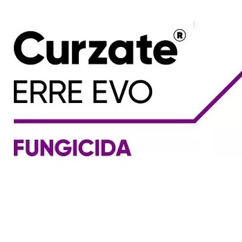 CURZATE ERRE EVO x 1 kg.