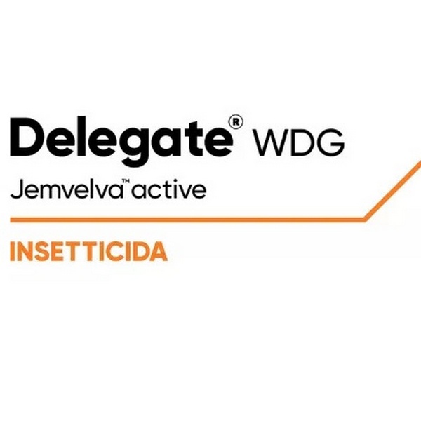 CORDE300100 - DELEGATE 250 WDG x 1 kg.