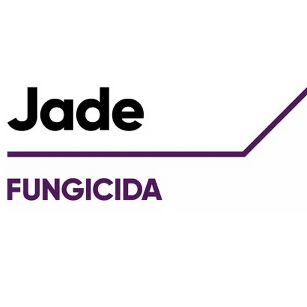 JADE x 5 lt.