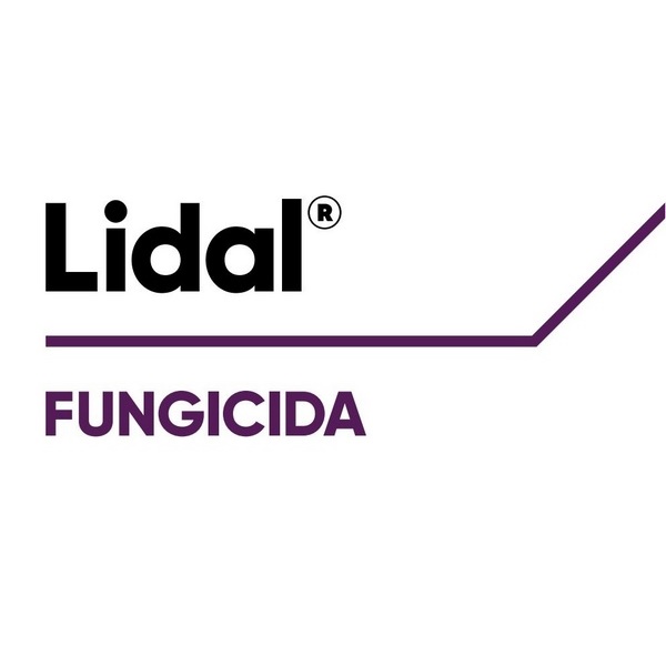 LIDAL x 1 lt.